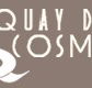 New Quay Dental Cosmetics - Dentists Newcastle