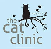 The Cat Clinic - Dentists Newcastle