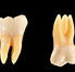 Holistic Dental Donvale - Dentists Newcastle