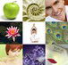 Lotus Dental - Holistic Dental Sydney - Dentists Newcastle