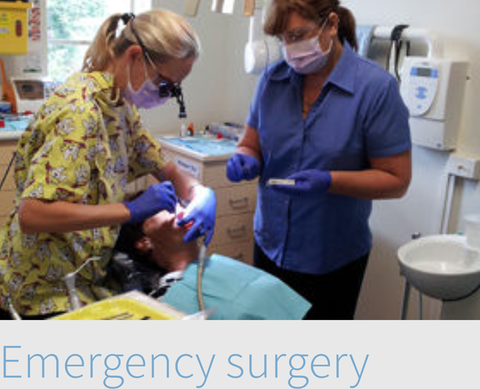 Biltoft's Dental Surgery - Dentists Newcastle 3