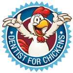 Kalra Amit Dr - Dentists Newcastle 0