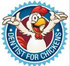 Dentists for chickens - Dentists Newcastle