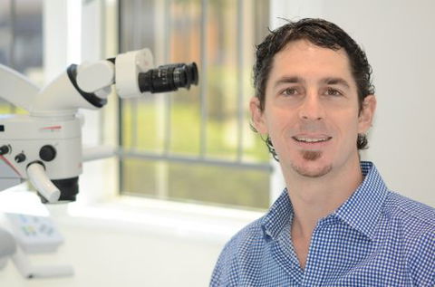 Central Point Dental - Dentists Newcastle 2