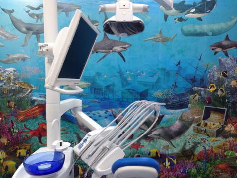 Blue Sky Dental Care - Dentists Newcastle 5