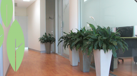 Parkview Dental Practice - Dentists Newcastle 3