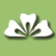 Soni Dental - Dentists Newcastle 0