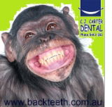 C.J. Carter Dental - Dentists Newcastle